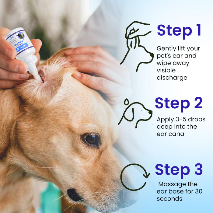 BLACK FRIDAY 40% OFF | Lotmay® Pet EarPro Drops FM+