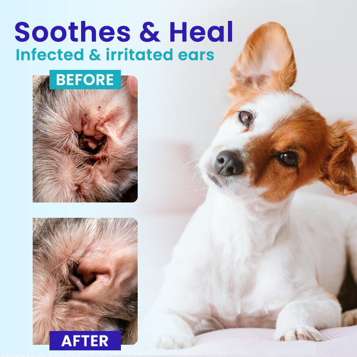 BLACK FRIDAY 40% OFF | Lotmay® Pet EarPro Drops FM+