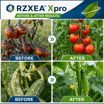 🏆 Official Store | RZXEA™  Xpro Prothioconazole Systemic Fungicide