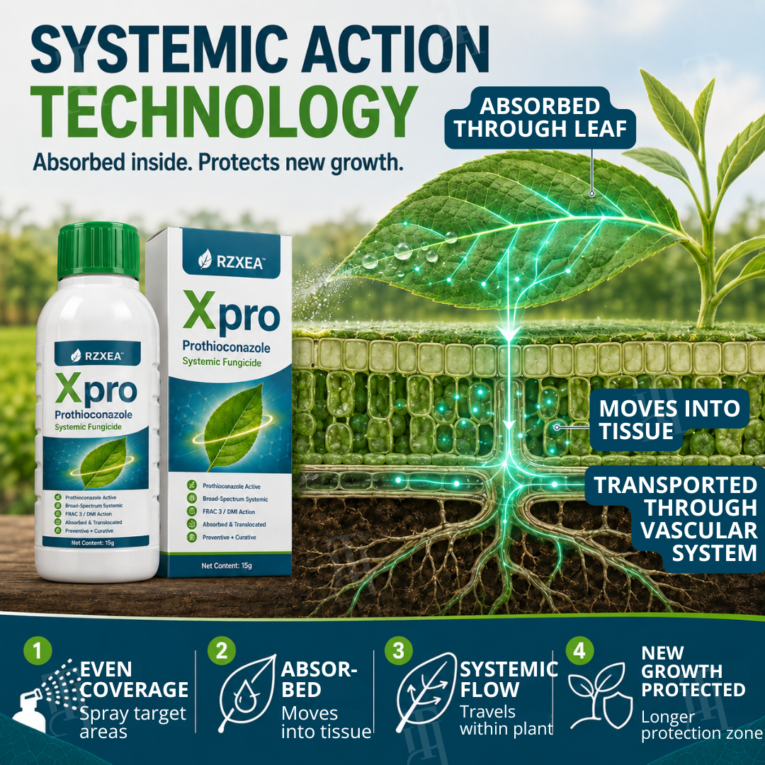 🏆 Official Store | RZXEA™  Xpro Prothioconazole Systemic Fungicide