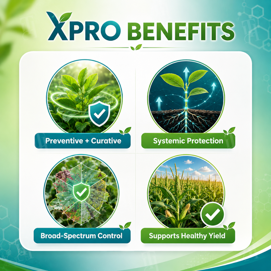 🏆 Official Store | RZXEA™  Xpro Prothioconazole Systemic Fungicide