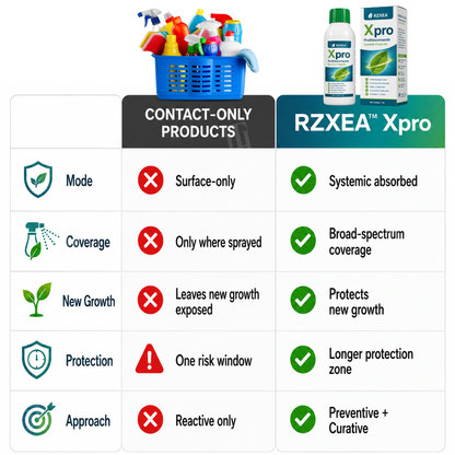🏆 Official Store | RZXEA™  Xpro Prothioconazole Systemic Fungicide