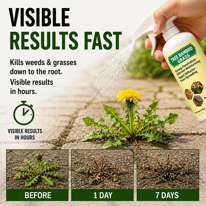 🔥2026 SALE - RZXEA™ Fast-Acting Natural Weed & Grass Killer Spray