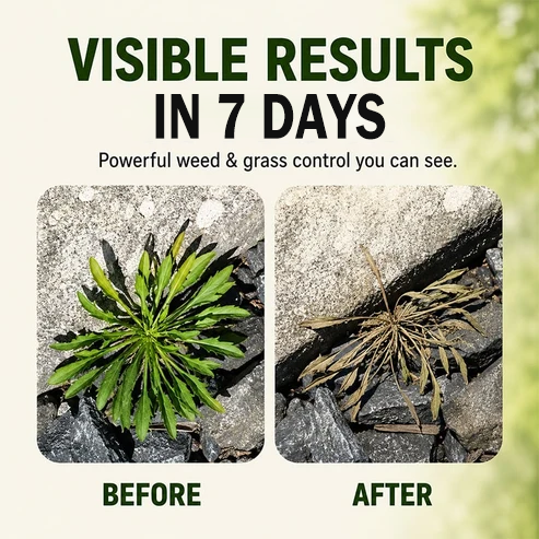 🔥2026 SALE - RZXEA™ Fast-Acting Natural Weed & Grass Killer Spray