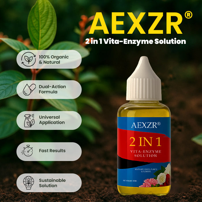 [Official Store] AEXZR® 2 in 1 Vita-Enzyme Solution