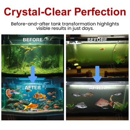[Official Store] AEXZR® AquaImmune Pro-Safe for goldfish, bettas & all tropical fish ！
