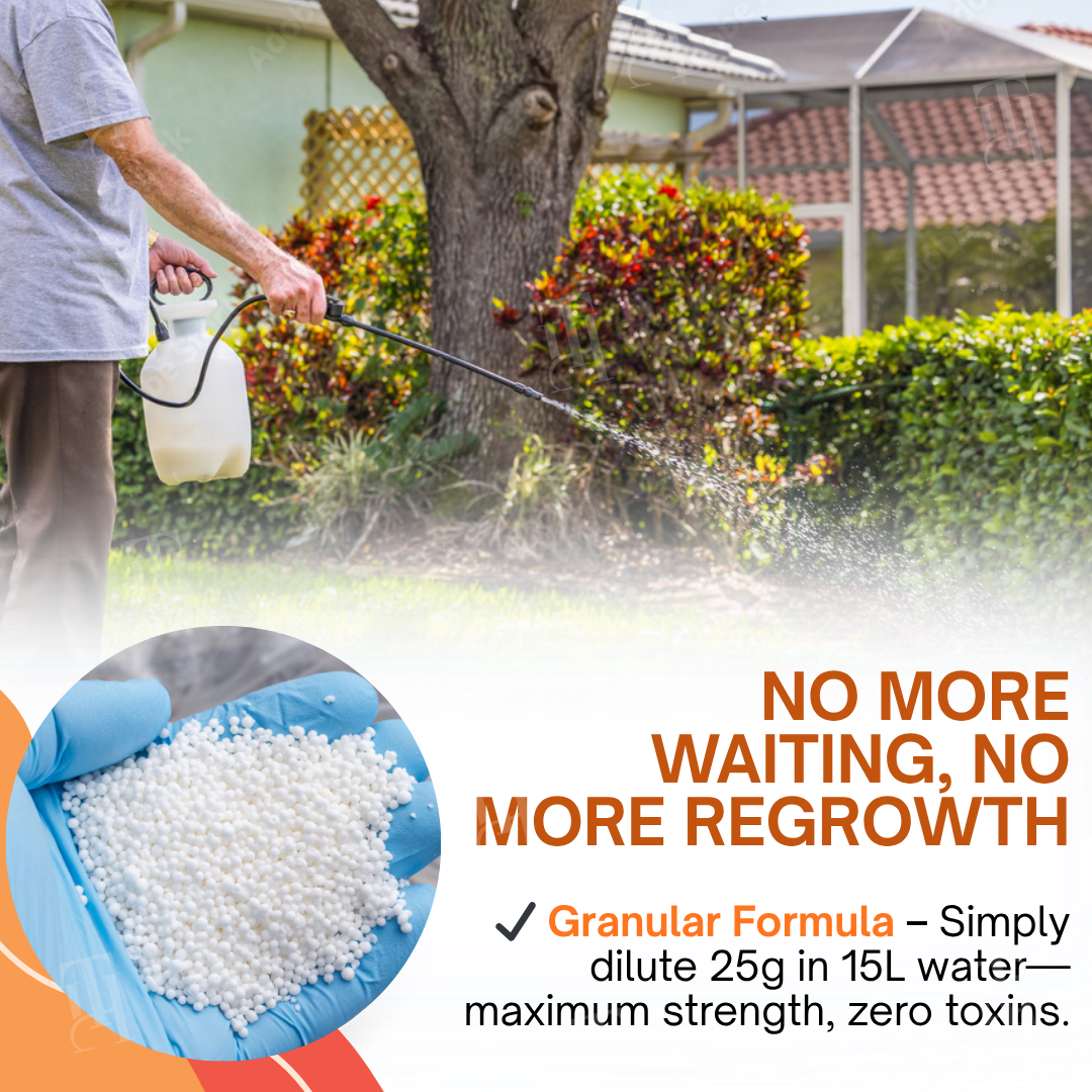 [Official Store] AEXZR® 2 in 1 Max Power Herbicide - 6-Hour Action – No more waiting