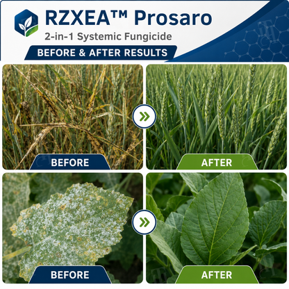 🏆 Official Store | RZXEA™ Prosaro 2-in-1 Systemic Fungicide