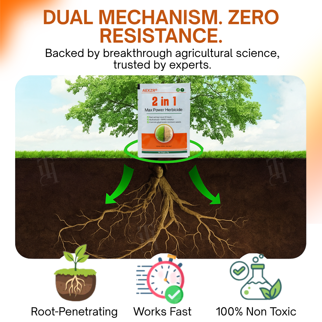 [Official Store] AEXZR® 2 in 1 Max Power Herbicide - 6-Hour Action – No more waiting