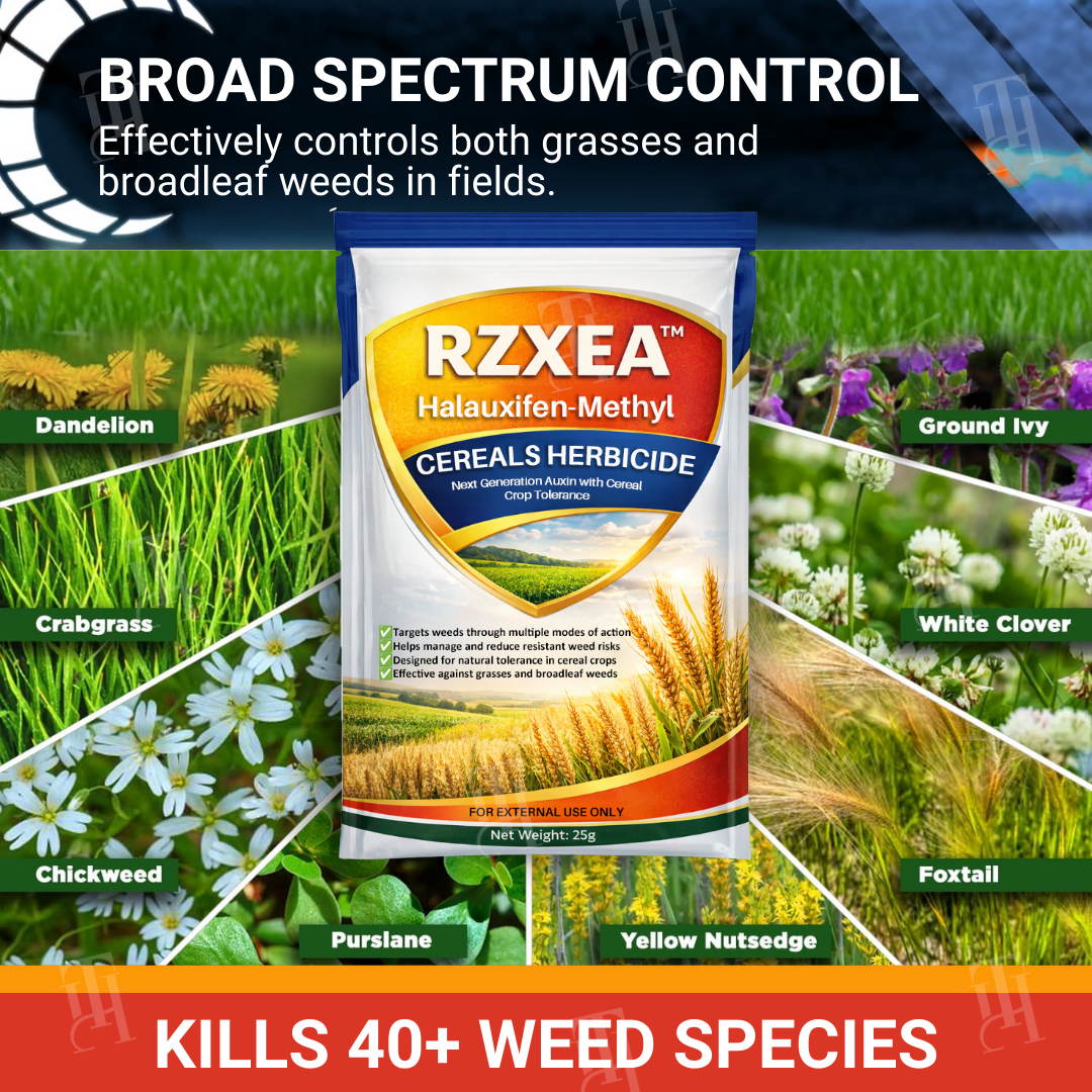 [Official Store] RZXEA™ Halauxifen-methyl Cereals Herbicide
