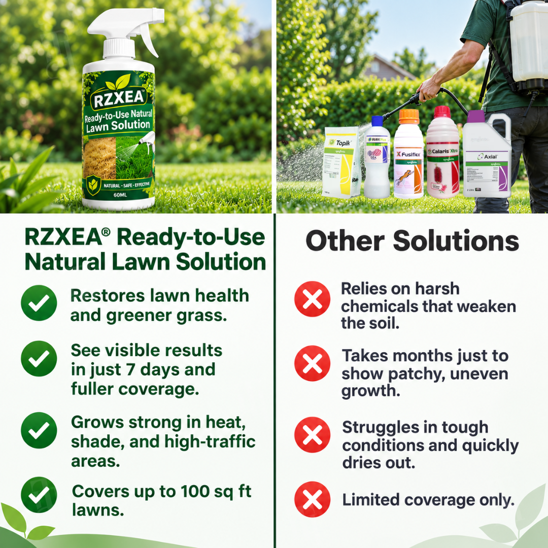 🏆 Official Store | RZXEA™ Ready-to-Use Natural Lawn Solution