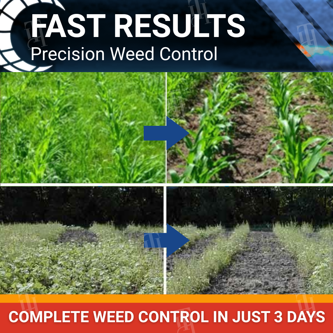 [Official Store] RZXEA™ Halauxifen-methyl Cereals Herbicide