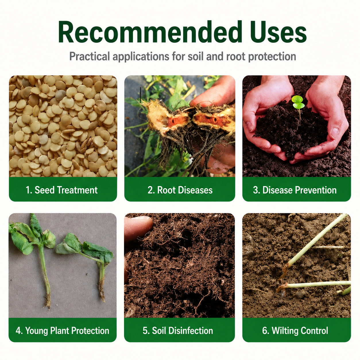 RZXEA™ Delaro Fluopyram – 2-in-1 Systemic Soil Fungicide