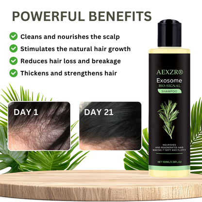[Official Store] AEXZR® Exosome Bio-Signal Revitalizing Shampoo