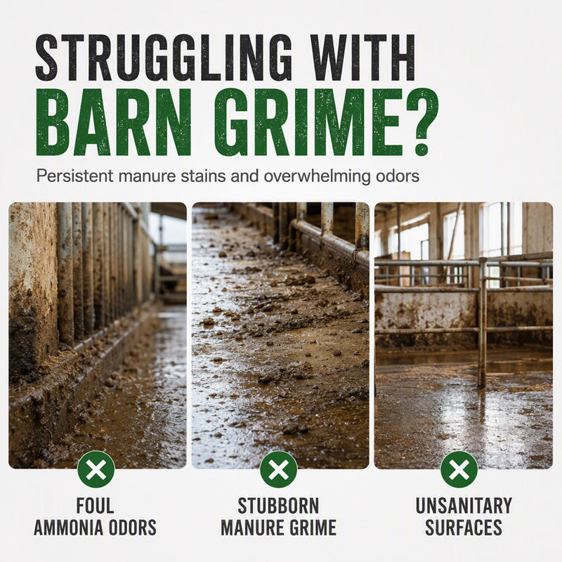 🏆 Official Store | RZXEA™ Barn Stain Remover Spray